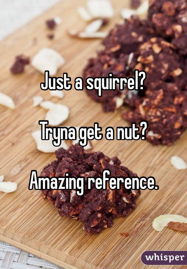 Just a squirrel?

Tryna get a nut?

Amazing reference.