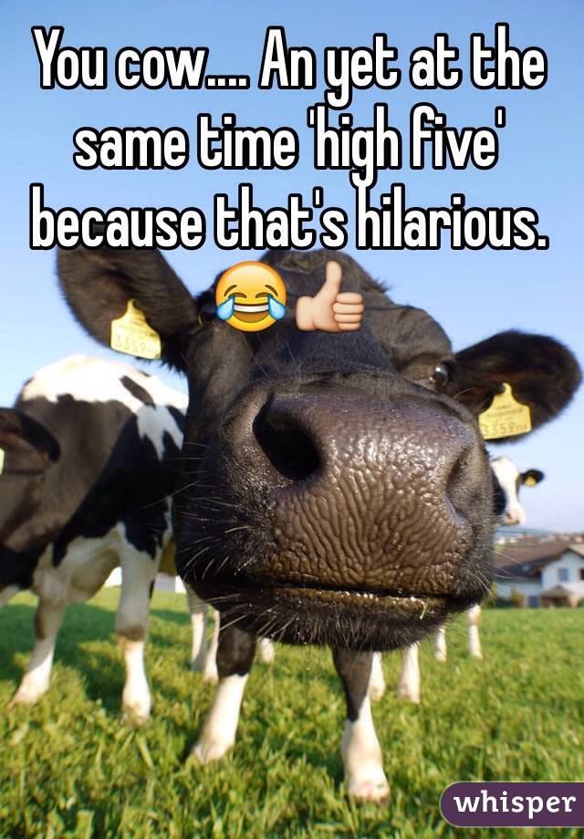 You cow.... An yet at the same time 'high five' because that's hilarious. 😂👍