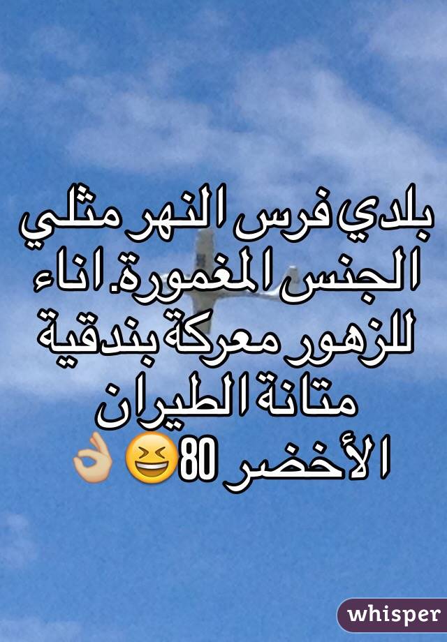 بلدي فرس النهر مثلي الجنس المغمورة. اناء للزهور معركة بندقية متانة الطيران الأخضر 80😆👌🏼