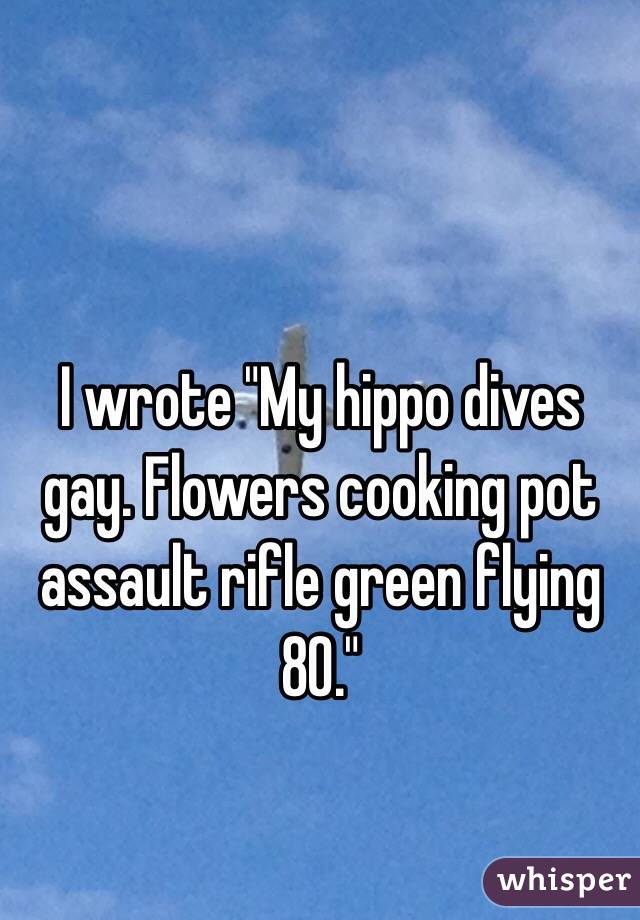 I wrote "My hippo dives gay. Flowers cooking pot assault rifle green flying 80."