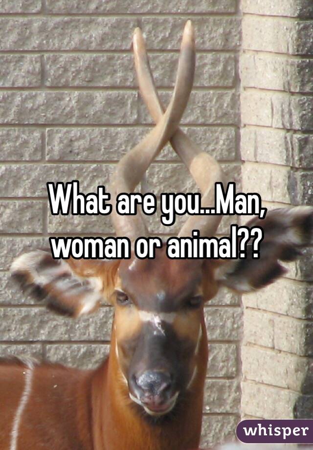 What are you...Man, woman or animal??