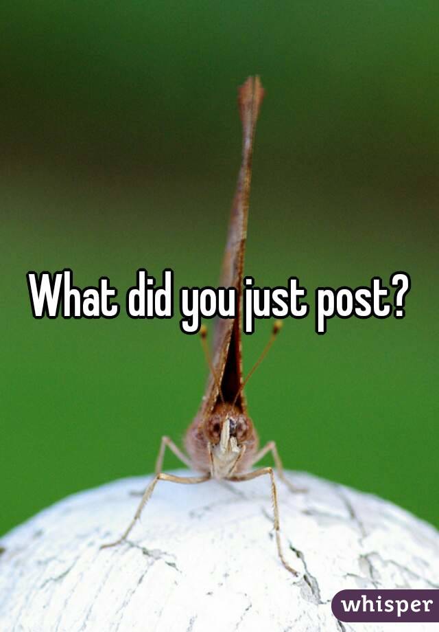 What did you just post?