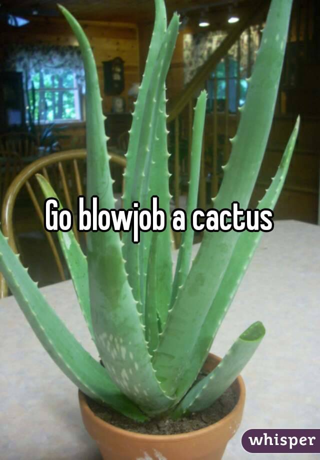 Go blowjob a cactus