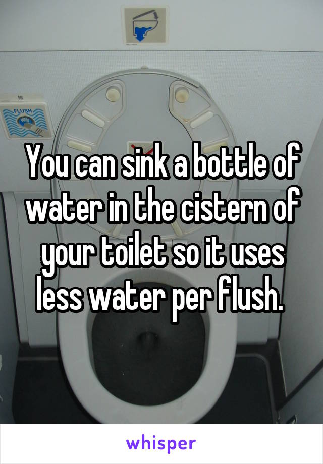 You can sink a bottle of water in the cistern of your toilet so it uses less water per flush. 