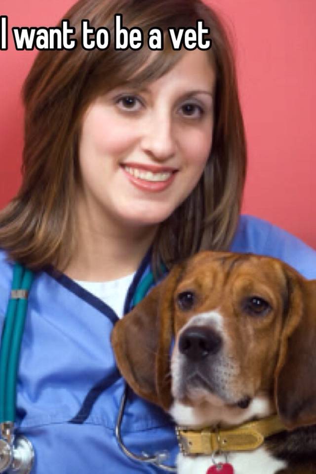 Do You Need To Be Licensed To Be A Vet Tech