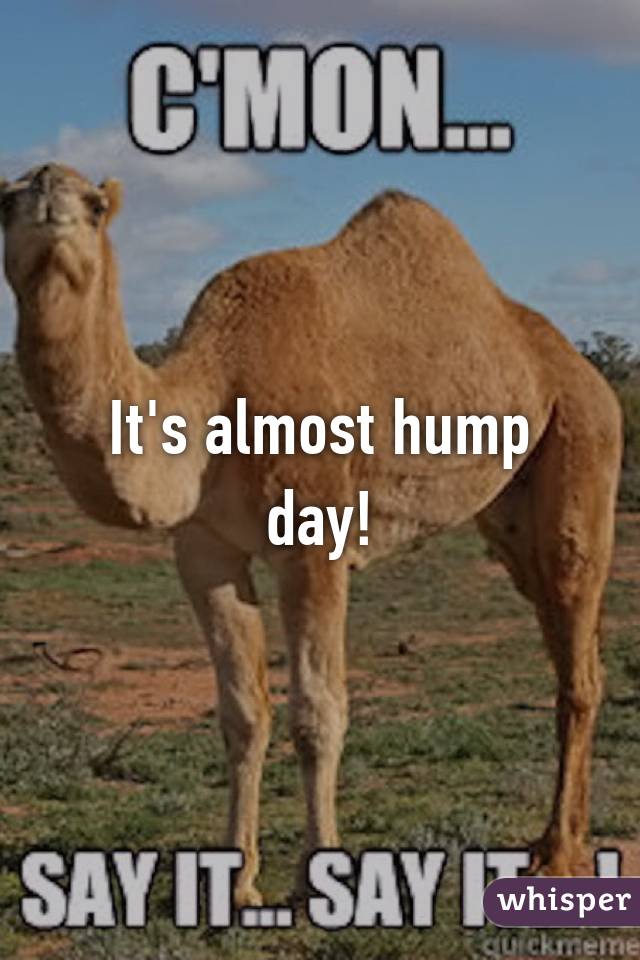 It's almost hump day!