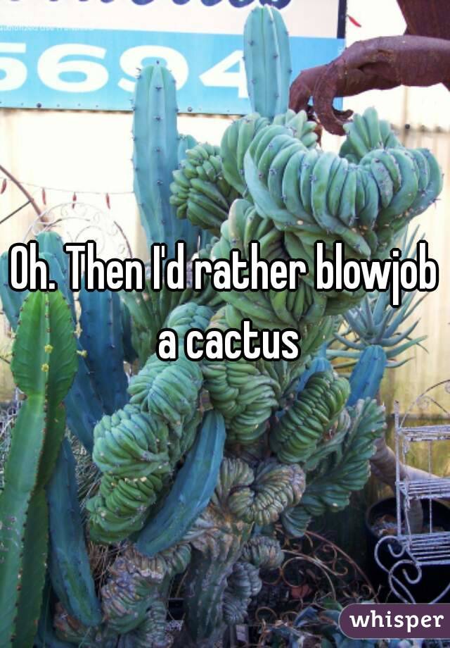 Oh. Then I'd rather blowjob a cactus