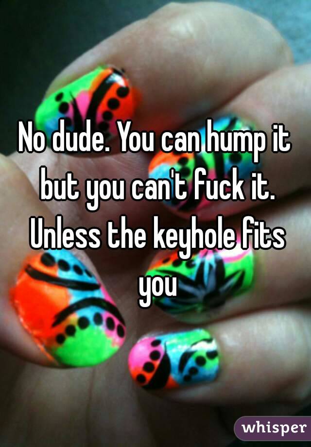 No dude. You can hump it but you can't fuck it. Unless the keyhole fits you