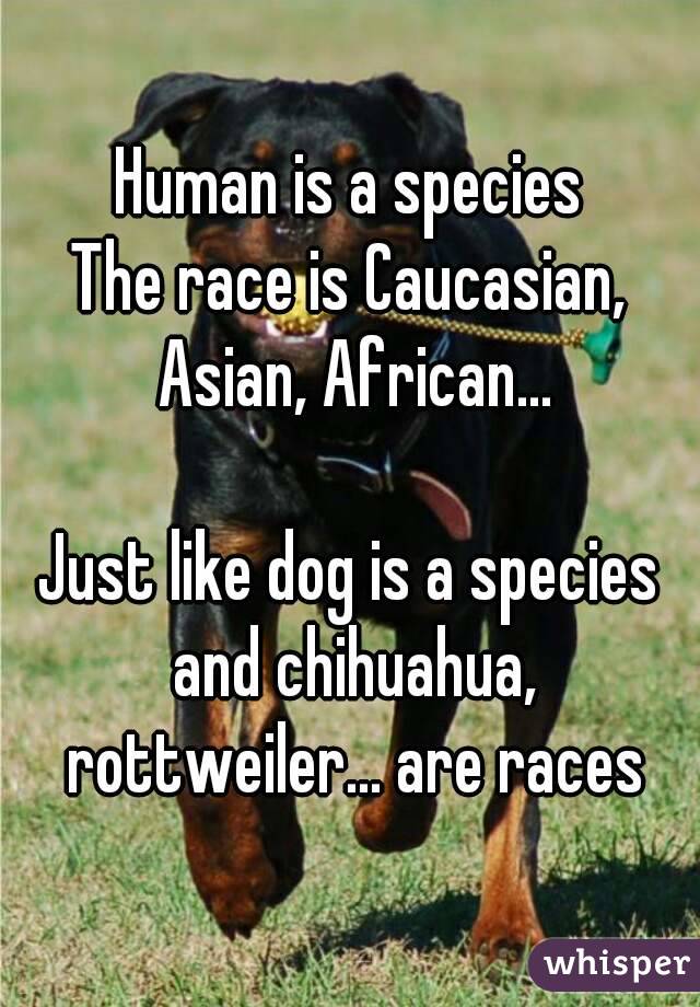 Human is a species
The race is Caucasian, Asian, African...

Just like dog is a species and chihuahua, rottweiler... are races