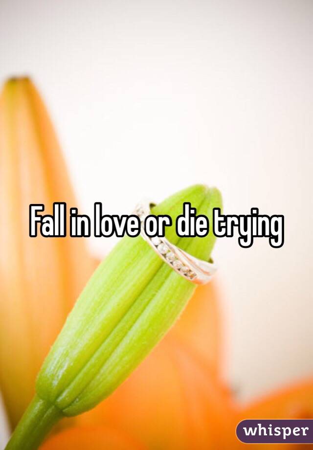 Fall in love or die trying 