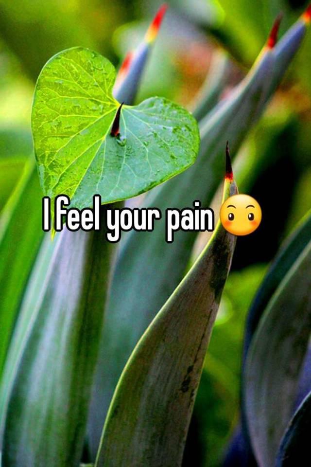 i-feel-your-pain