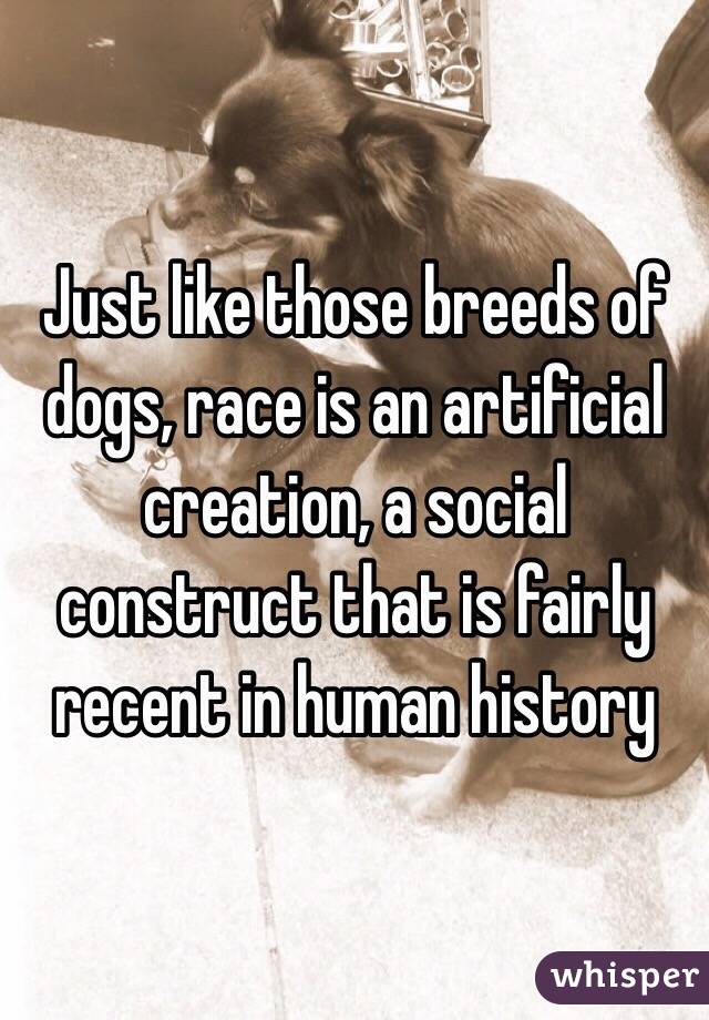 Just like those breeds of dogs, race is an artificial creation, a social construct that is fairly recent in human history 