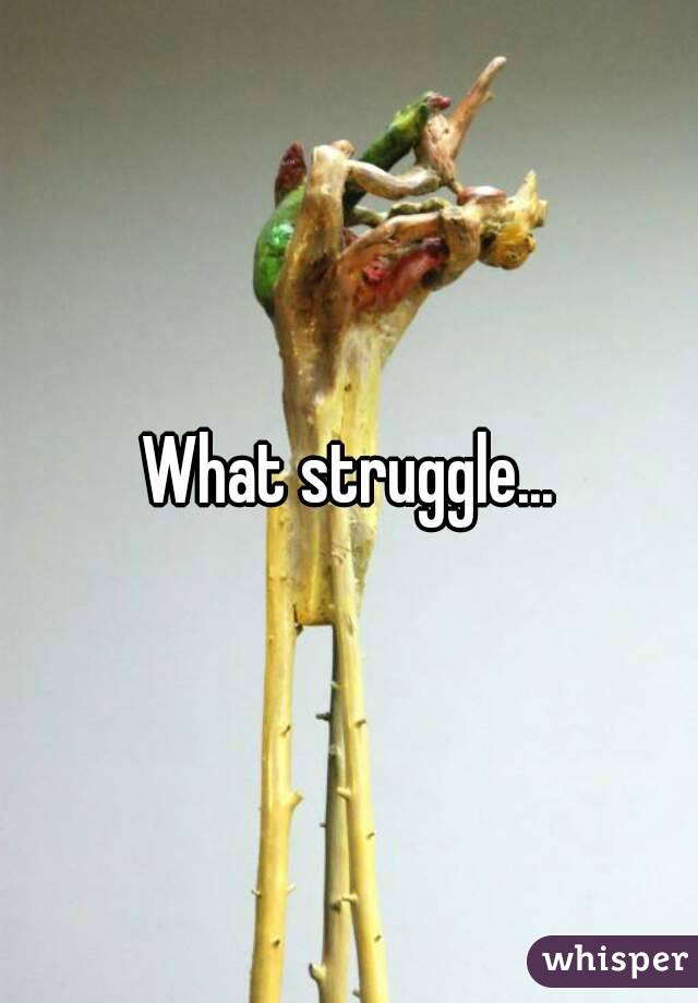 What struggle...