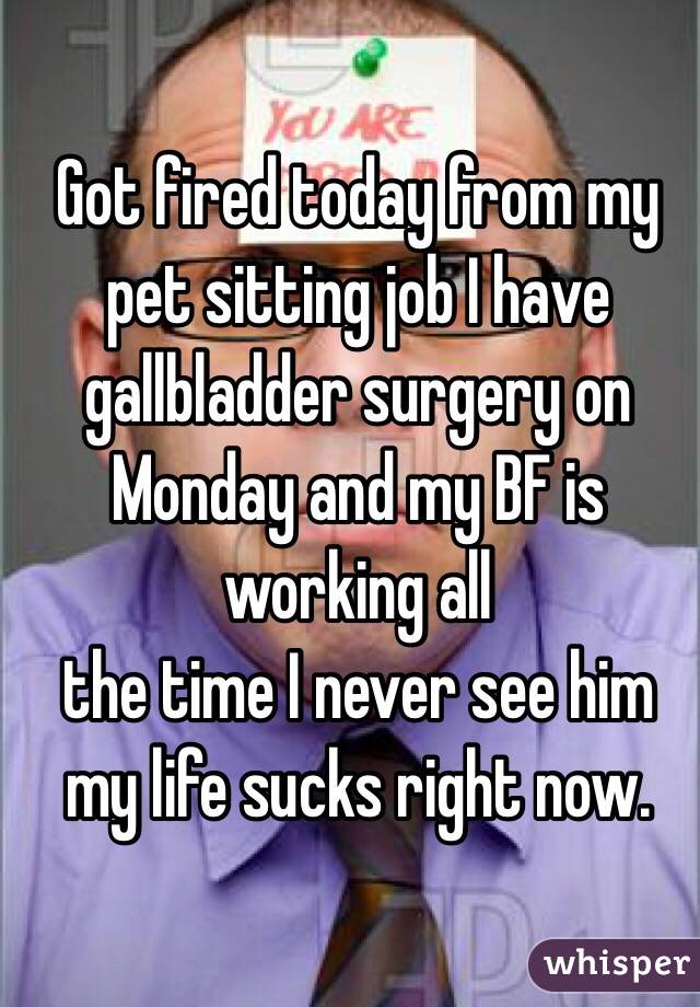 Got fired today from my pet sitting job I have gallbladder surgery on Monday and my BF is working all
the time I never see him my life sucks right now. 
