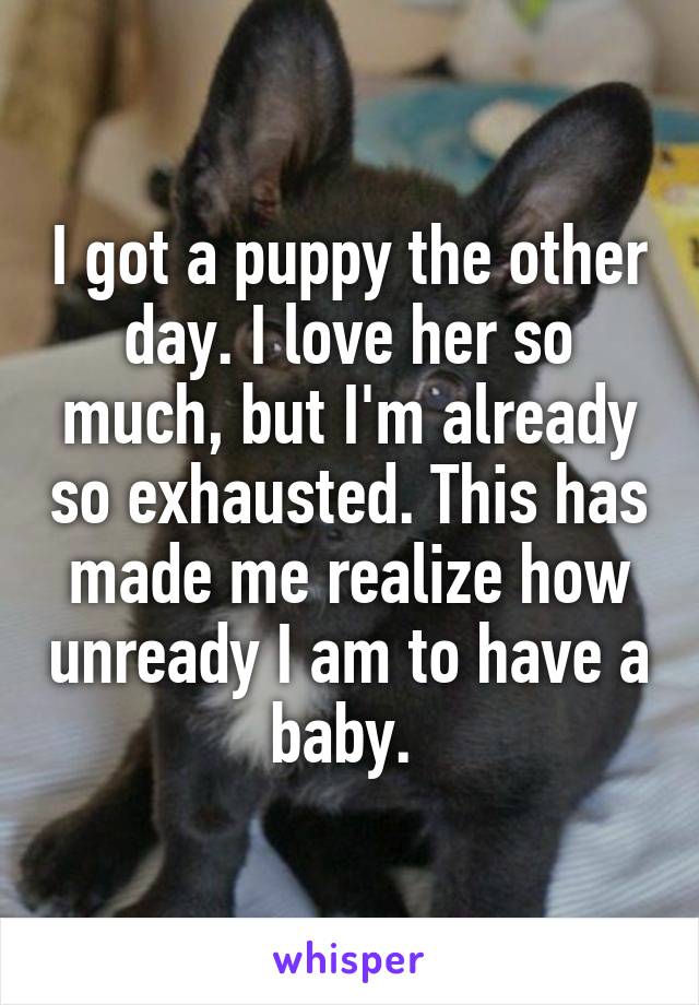 I got a puppy the other day. I love her so much, but I'm already so exhausted. This has made me realize how unready I am to have a baby. 
