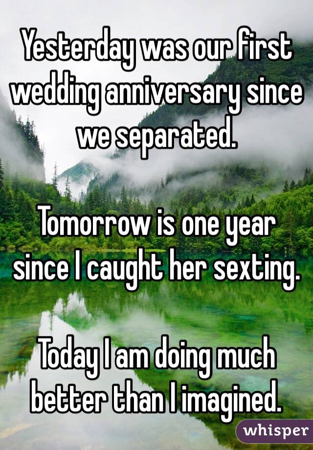 Yesterday was our first wedding anniversary since we separated. 

Tomorrow is one year since I caught her sexting. 

Today I am doing much better than I imagined. 