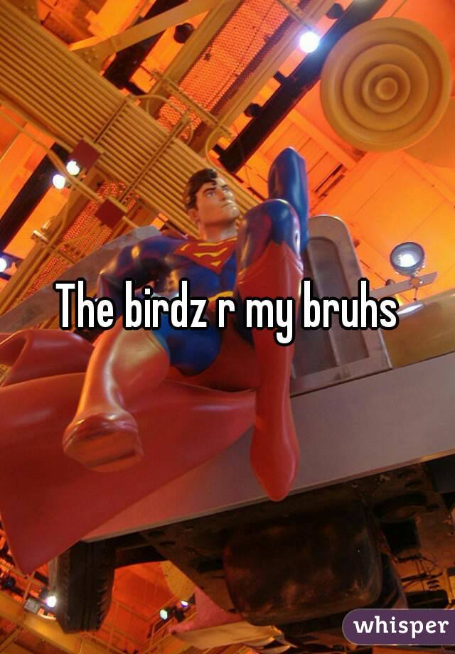 The birdz r my bruhs