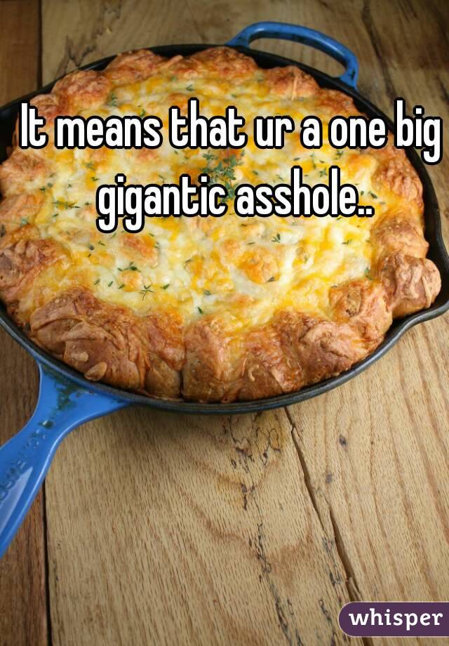 It means that ur a one big gigantic asshole..