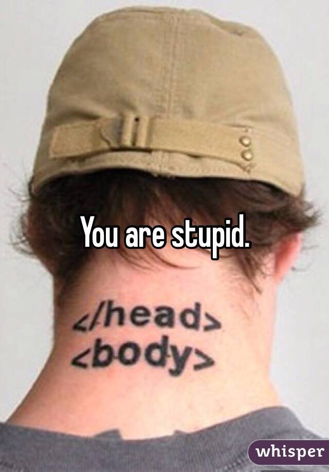 You are stupid. 