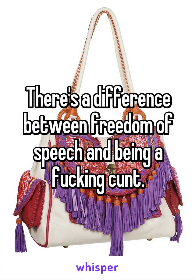 There's a difference between freedom of speech and being a fucking cunt.