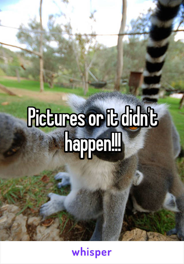 Pictures or it didn't happen!!!