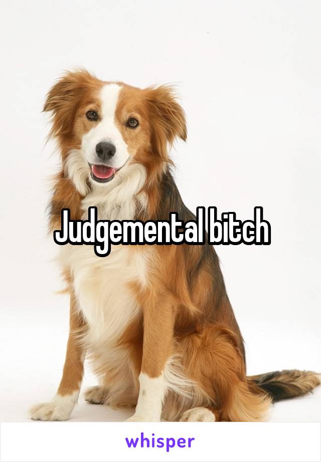 Judgemental bitch