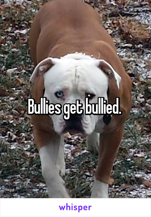 Bullies get bullied. 