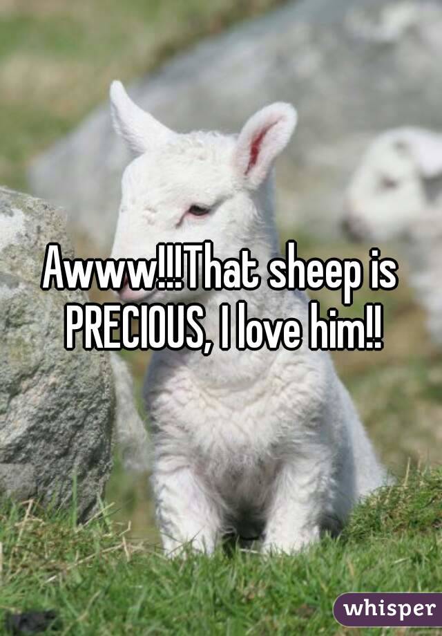 Awww!!!That sheep is PRECIOUS, I love him!!