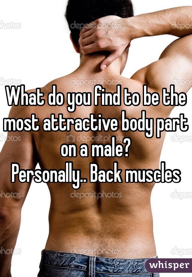 What do you find to be the most attractive body part on a male? 
Personally.. Back muscles