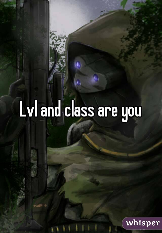 Lvl and class are you