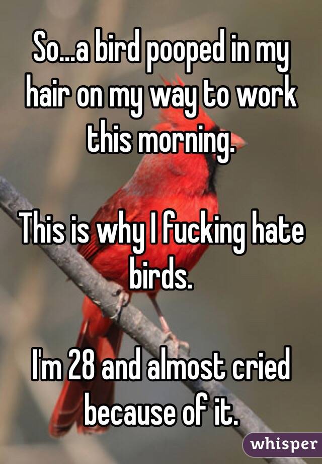 So...a bird pooped in my hair on my way to work this morning.

This is why I fucking hate birds.

I'm 28 and almost cried because of it.