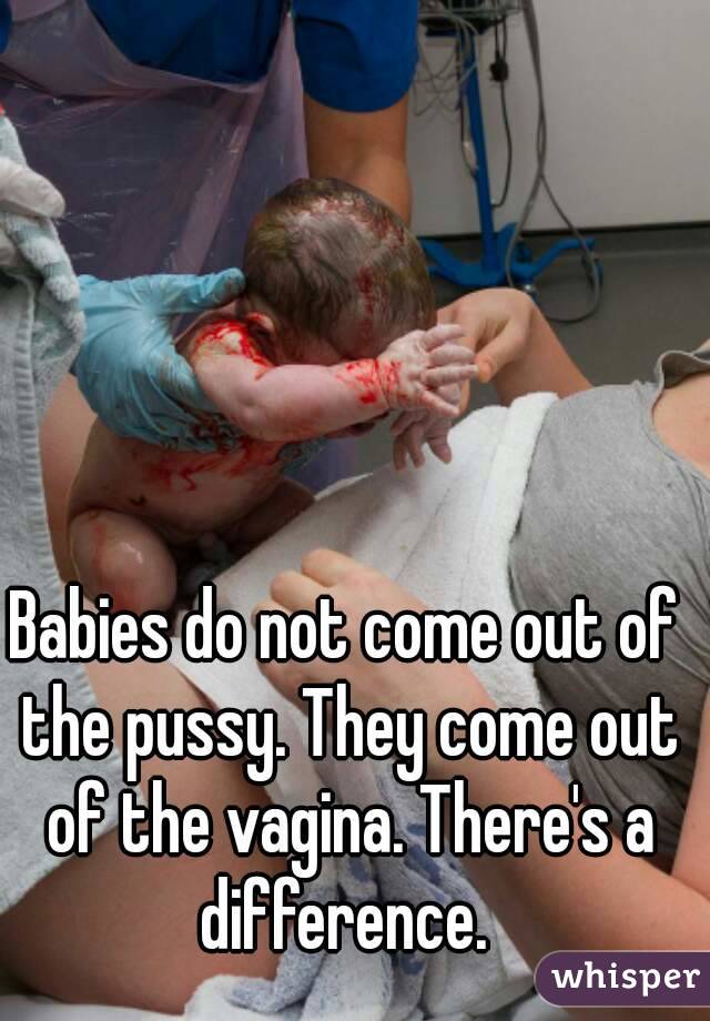 Babies do not come out of the pussy. They come out of the vagina. There's a difference. 