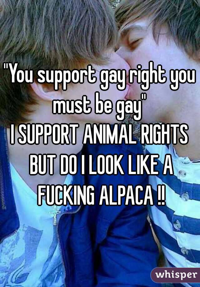 "You support gay right you must be gay" 
I SUPPORT ANIMAL RIGHTS BUT DO I LOOK LIKE A FUCKING ALPACA !!
