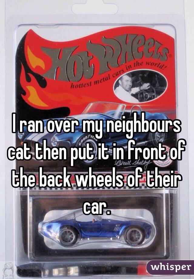 I ran over my neighbours cat then put it in front of the back wheels of their car.

