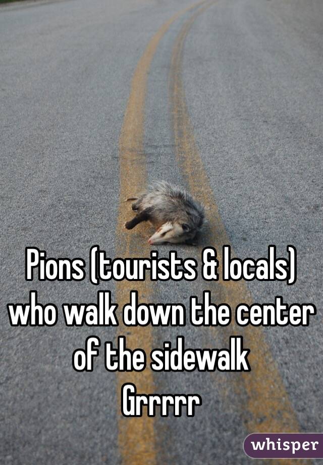 Pions (tourists & locals) who walk down the center of the sidewalk 
Grrrrr