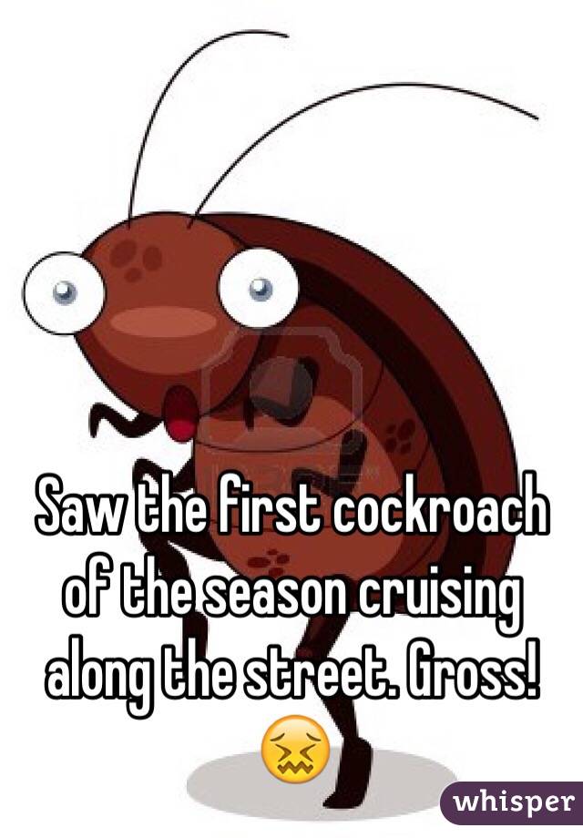 Saw the first cockroach of the season cruising along the street. Gross!😖