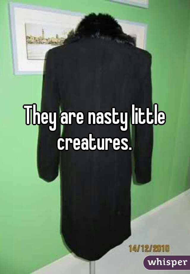 They are nasty little creatures. 