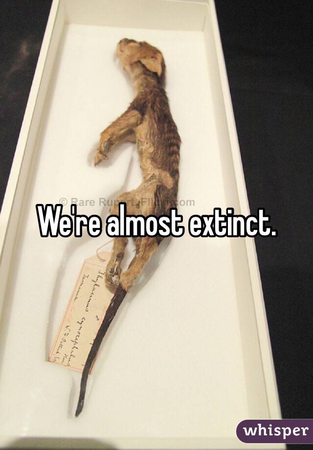 We're almost extinct. 