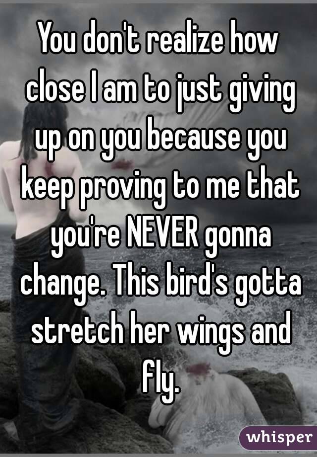 You don't realize how close I am to just giving up on you because you keep proving to me that you're NEVER gonna change. This bird's gotta stretch her wings and fly.