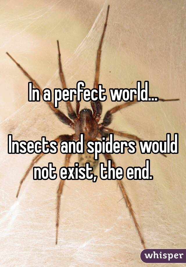 In a perfect world...

Insects and spiders would not exist, the end. 