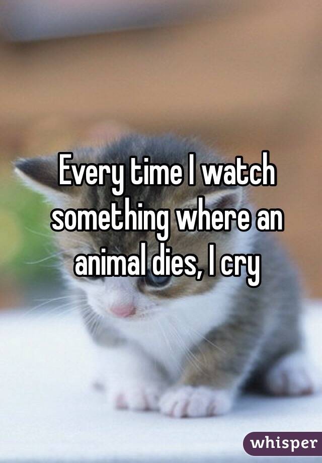 Every time I watch something where an animal dies, I cry 