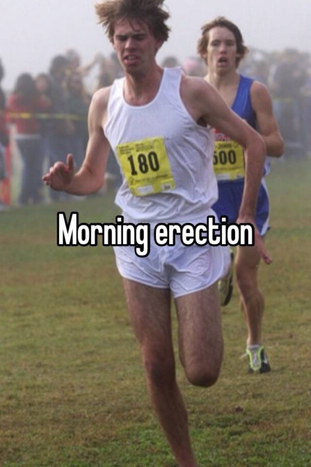 Morning Erection 4208