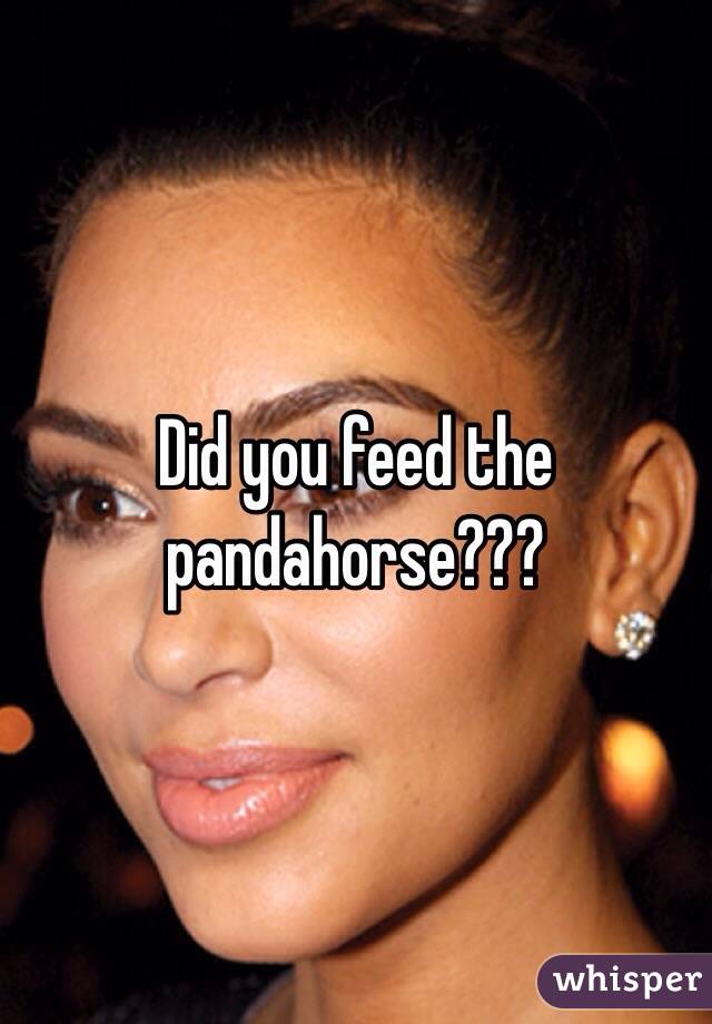 Did you feed the pandahorse???
