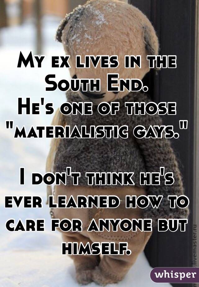 My ex lives in the South End. 
He's one of those "materialistic gays."

I don't think he's ever learned how to care for anyone but himself.
