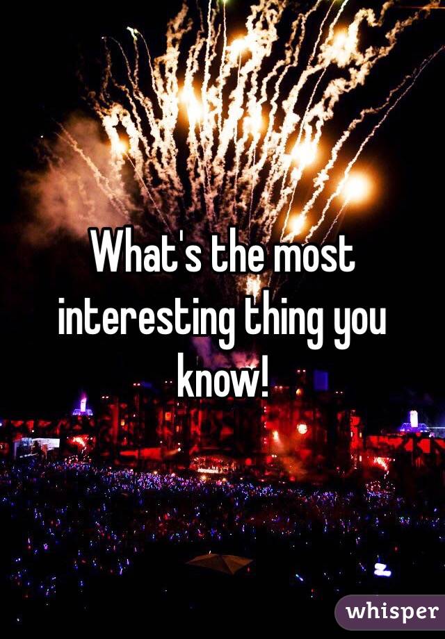 What's the most interesting thing you know!