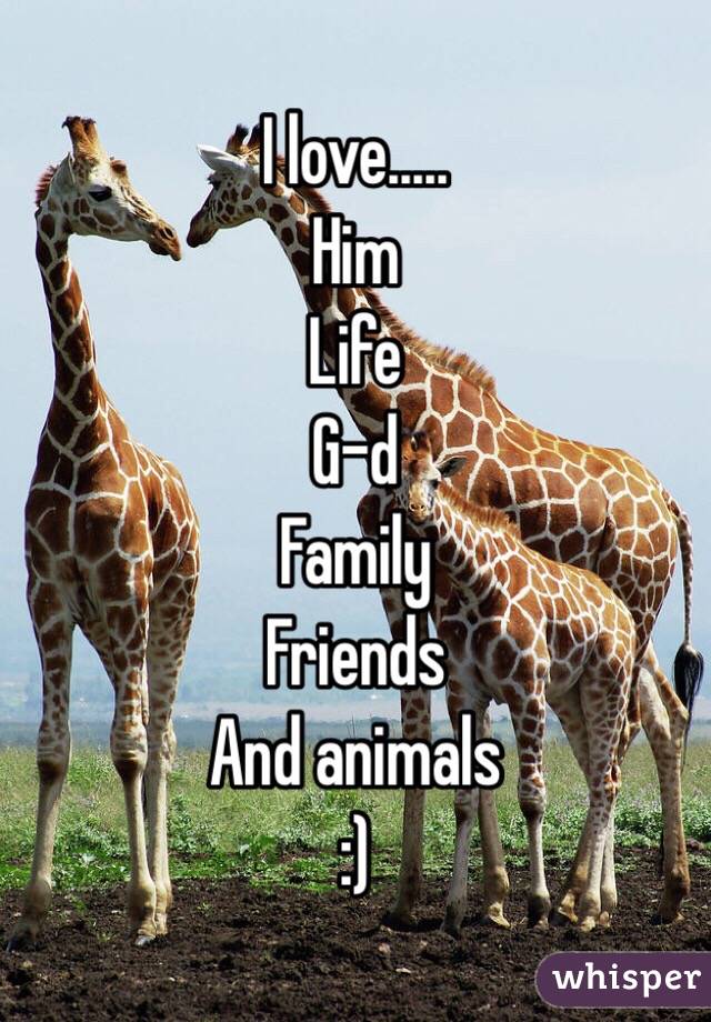 I love.....
Him
Life
G-d
Family
Friends
And animals 
:)