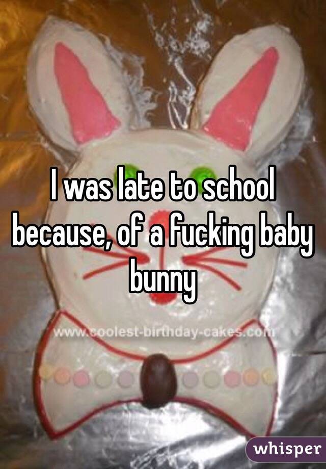 I was late to school because, of a fucking baby bunny