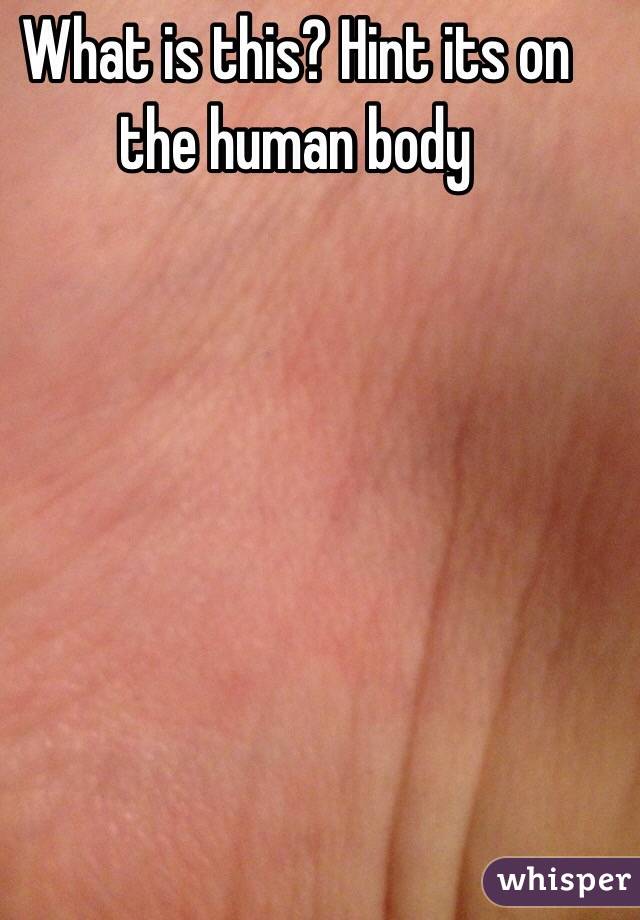 What is this? Hint its on the human body