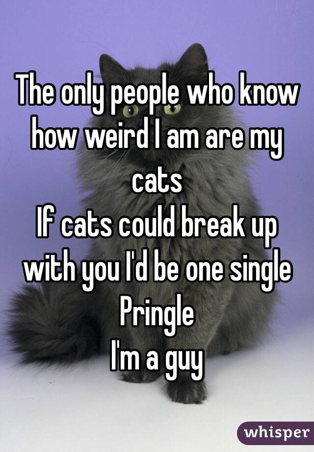 The only people who know how weird I am are my cats
If cats could break up with you I'd be one single Pringle 
I'm a guy