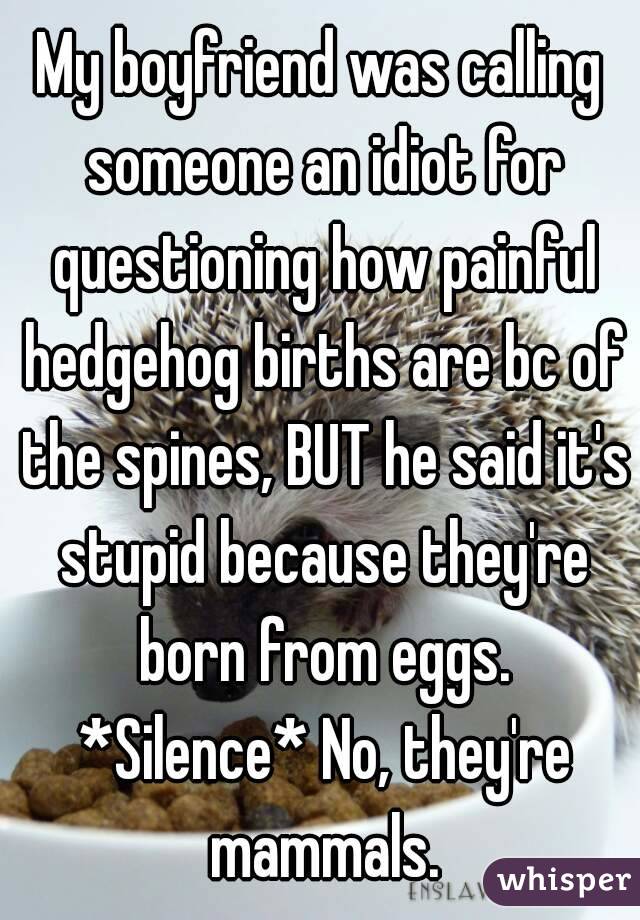 My boyfriend was calling someone an idiot for questioning how painful hedgehog births are bc of the spines, BUT he said it's stupid because they're born from eggs. *Silence* No, they're mammals.